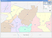 Las Animas Wall Map Color Cast Style